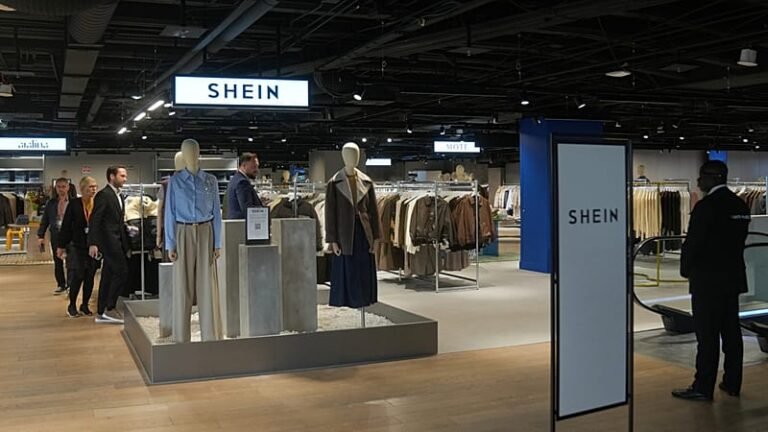 shein e-commerce platform wins french court case