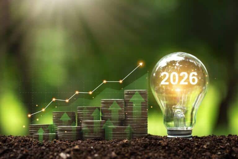 growth stocks for new year investments