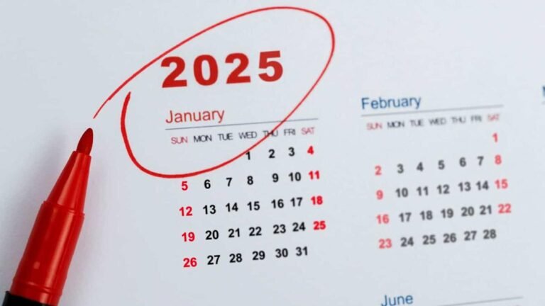 Alphabet shares investment graph