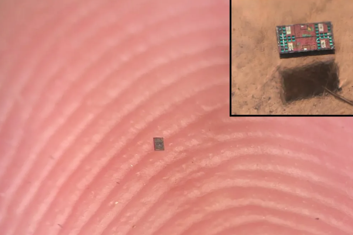 mini robot the size of a grain of salt