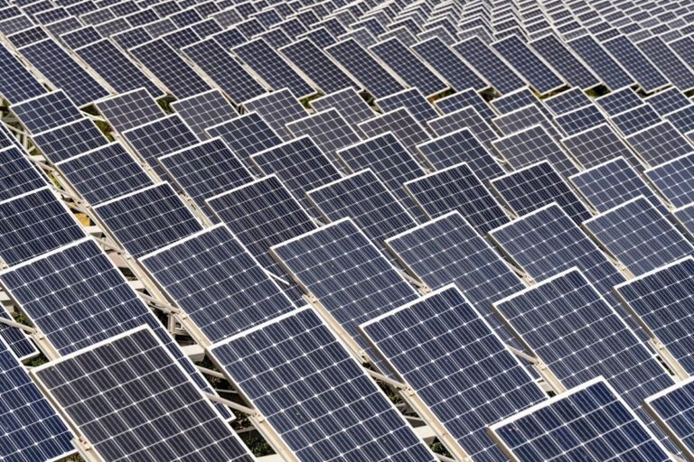 UK solar firms face monopoly risks