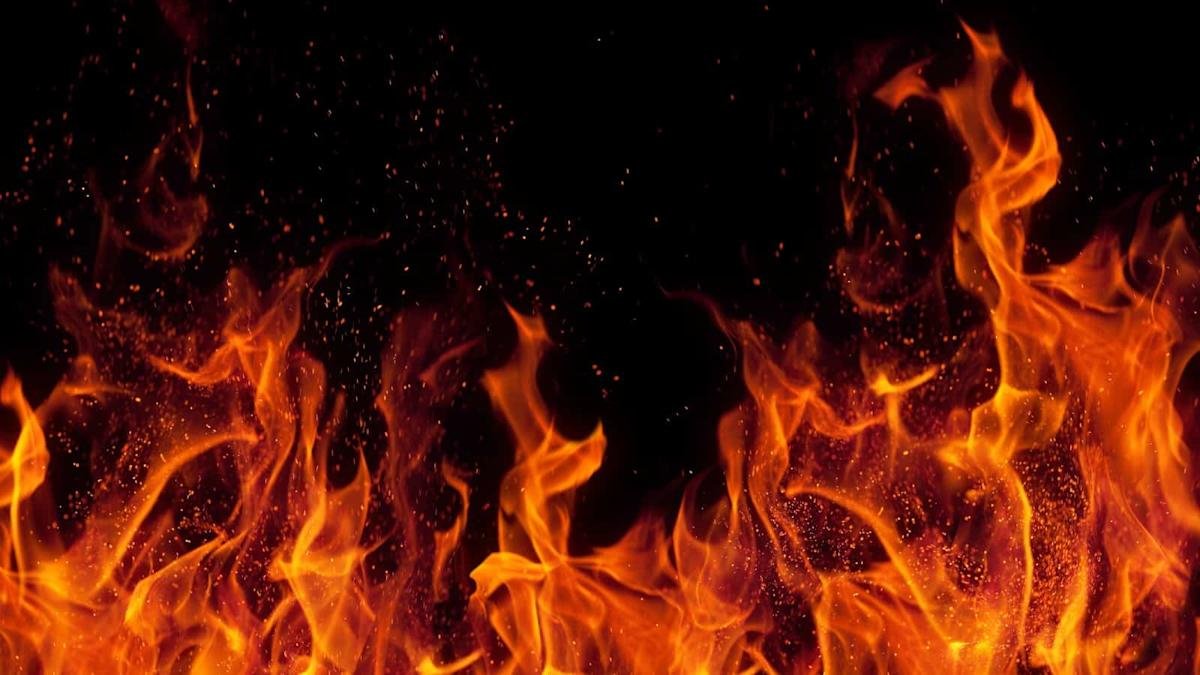 Growth stocks to buy in January 2026