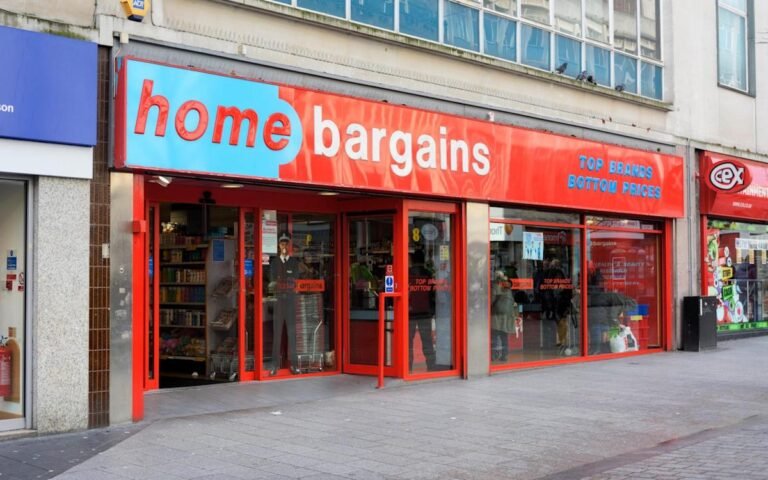 Labour donor pays £66m dividend